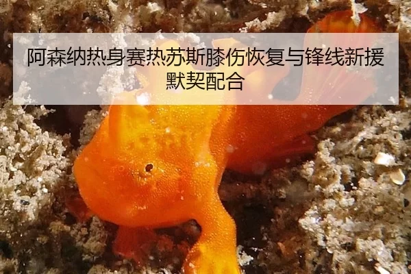 a-sen-na-re-shen-sai-re-su-si-xi-shang-hui-fu-yu-feng-xian-xin-yuan-mo-qi-pei-he-1-268.jpg