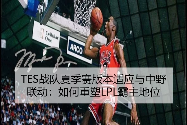 TES战队夏季赛版本适应与中野联动：如何重塑LPL霸主地位