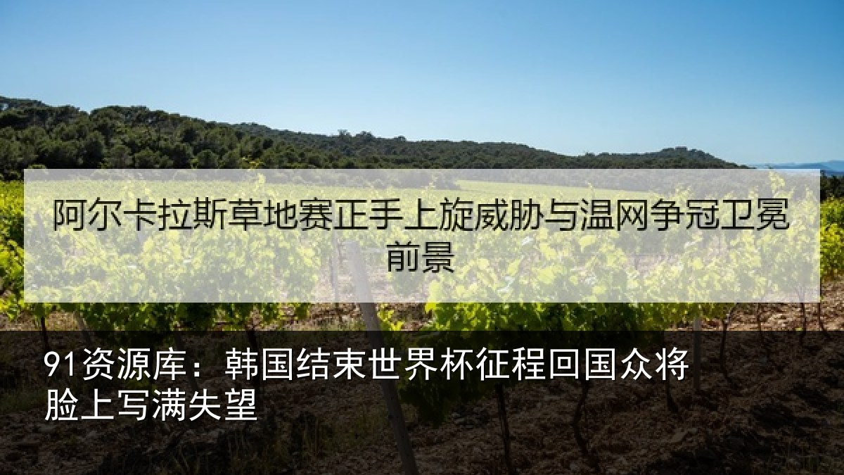 91资源库:韩国结束世界杯征程回相关情况望