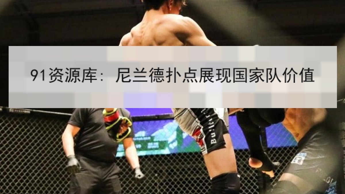 91资源库: 尼兰德扑点展现国家队价值 91资源库: 尼兰德扑点展现国家队价值