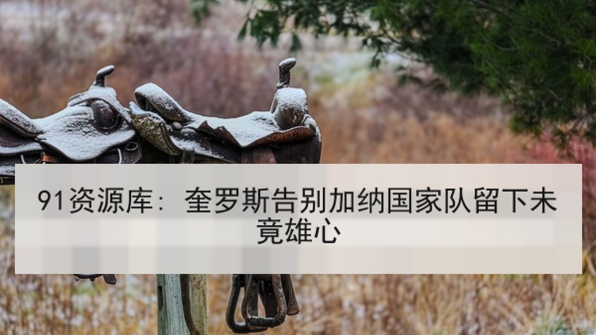 91资源库: 奎罗斯告别加纳国家队留下未竟雄心