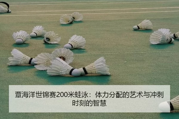 tan-hai-yang-shi-jin-sai-mi-wa-yong-ti-li-fen-pei-de-yi-shu-yu-chong-ci-shi-ke-de-zhi-hui-3-893.jpg